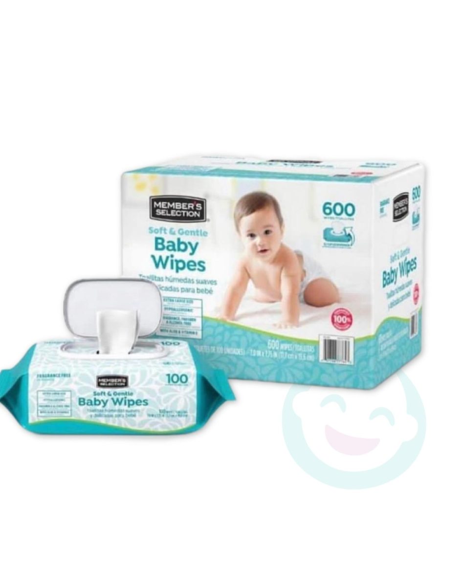 WIPES – TOALLITAS HUMEDAS M.S. 6 UNIDADES DE 100